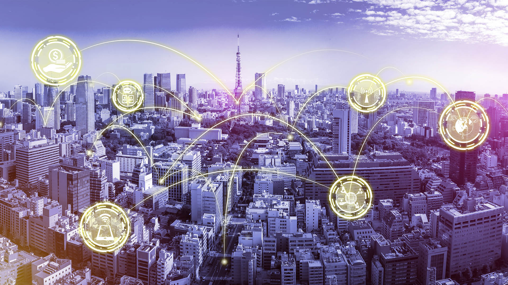 Department of Management Sciences